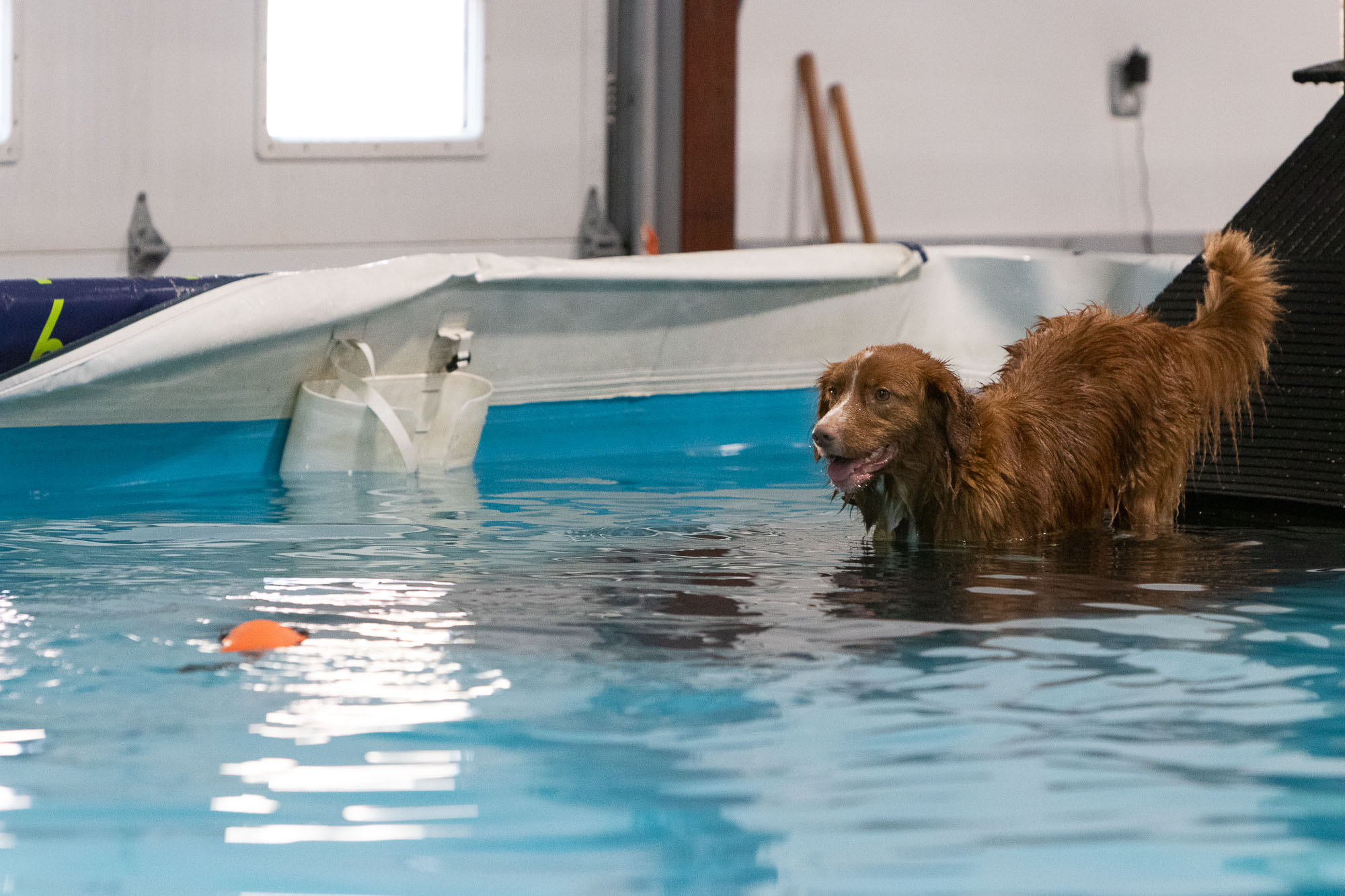 Dock Diving Brendan Maxon